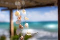 Nautical style hanging seashells decoration