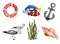 Nautical watercolor set, ship items, seagulls, algae Royalty Free Stock Photo