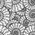 Nautilus cephalopods seamless pattern. Sketch scratch board imitation. Black and white.