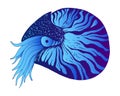 Nautilus colorful decorative animal, blue and dark blue gradient, isolated on white background. Vector hand drawn