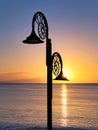 Nautilus Lamps Silhouetted Against A Winter Sunrise Royalty Free Stock Photo