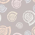 Nautilus of pattern