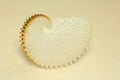 Nautilus sea shell still life Royalty Free Stock Photo