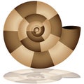 Nautilus Shell Icon