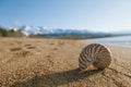 nautilus shell on the issyk-kul beach sand with mountains on background