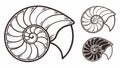 Nautilus shell set, spiral and nature pattern design vector design Generative AI Royalty Free Stock Photo