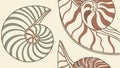 Nautilus Shell Spiral Pattern Vector Set, vector design Generative AI Royalty Free Stock Photo