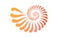 Nautilus shell spiral shape logo