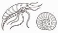 Nautilus shell and trilobite fossil, ancient life forms vector design Generative AI