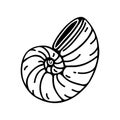 Nautilus shell vector icon. Hand drawn simple doodle isolated on white background. Round seashell, underwater mollusk Royalty Free Stock Photo