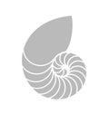 Nautilus shell