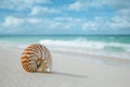 Nautilus shell on white beach sand, against sea waves Royalty Free Stock Photo