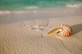 Nautilus shell on white beach sand, against sea waves Royalty Free Stock Photo