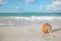 Nautilus shell on white beach sand, against sea waves Royalty Free Stock Photo