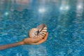 Nautilus shell on woman`s hands in the sea water Royalty Free Stock Photo