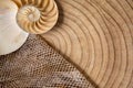 nautilus shell on wood background and snake skin Royalty Free Stock Photo