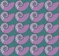 Nautilus Pattern