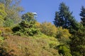 Autumn October landscape. colorful desiduous trees - sunny autumn view. Academic Fomin University Botanical Garden to take a walk