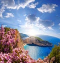 Navagio beach with shipwreck and flowers against blue sky on Zakynthos island, Greece Royalty Free Stock Photo