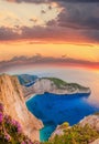 Navagio beach with shipwreck and flowers against sunset on Zakynthos island in Greece Royalty Free Stock Photo