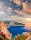 Navagio beach with shipwreck and flowers against sunset on Zakynthos island in Greece Royalty Free Stock Photo