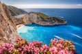 Navagio beach with shipwreck and flowers on Zakynthos island, Greece Royalty Free Stock Photo