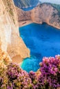 Navagio beach with shipwreck and flowers on Zakynthos island in Greece Royalty Free Stock Photo