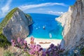 Navagio beach with shipwreck and flowers on Zakynthos island in Greece Royalty Free Stock Photo