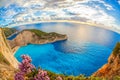 Navagio beach with shipwreck and flowers on Zakynthos island in Greece Royalty Free Stock Photo