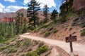 Navajo Loop Bryce Canyon National Park Utah USA Royalty Free Stock Photo