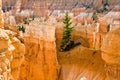 Navajo Loop Trail - Wall Street: Bryce Canyon National Park