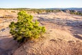 Navajo National canyons