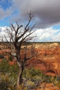 Navajo National Monument