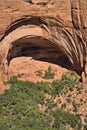 Navajo National Monument located near Shonto, AZ