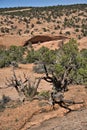 Navajo National Monument located near Shonto, AZ