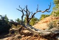 Navajo National Monument