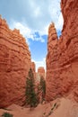 Navajo Trail - Bryce Canyon National Park