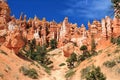 Bryce Canyon National Park with Sandstone Hoodoos in Queens Garden, Southwest Desert, Utah Royalty Free Stock Photo