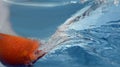 Naval Orange Splashing into Water Royalty Free Stock Photo