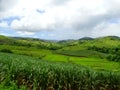 Fiji landscapes near the Navala village