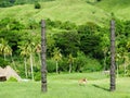 Fiji - traditional houses - bure at the Navala village Royalty Free Stock Photo