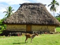 Fiji - traditional houses - bure at the Navala village Royalty Free Stock Photo