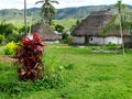 Fiji - traditional houses - bure at the Navala village