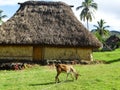 Fiji - traditional houses - bure at the Navala village