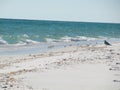 Navarre Beach