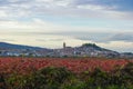 The small town of Navarrete among Vineyards in the autumn season Royalty Free Stock Photo