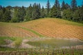 Navarro Family Winery near Philo CA Royalty Free Stock Photo