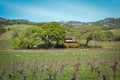 Navarro Family Winery near Philo CA Royalty Free Stock Photo