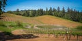 Navarro Family Winery near Philo CA Royalty Free Stock Photo