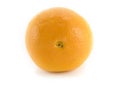 Navel Orange